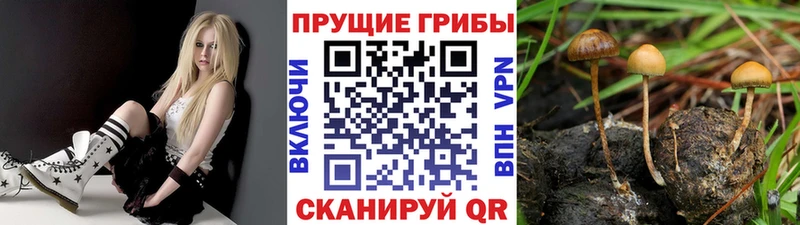 Галлюциногенные грибы ЛСД  как найти закладки  Красный Кут 